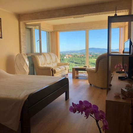 Vila Pogled Aranđelovac Exterior foto