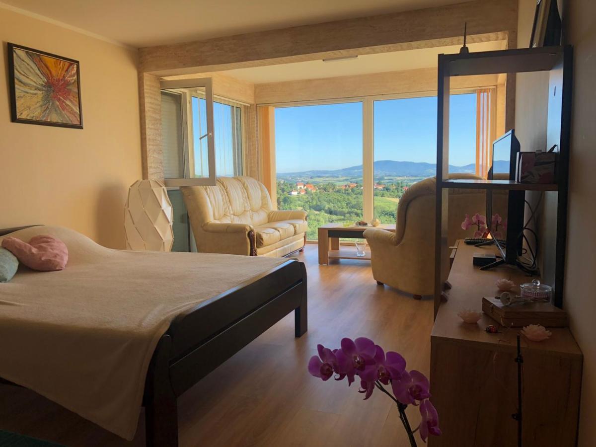 Vila Pogled Aranđelovac Exterior foto